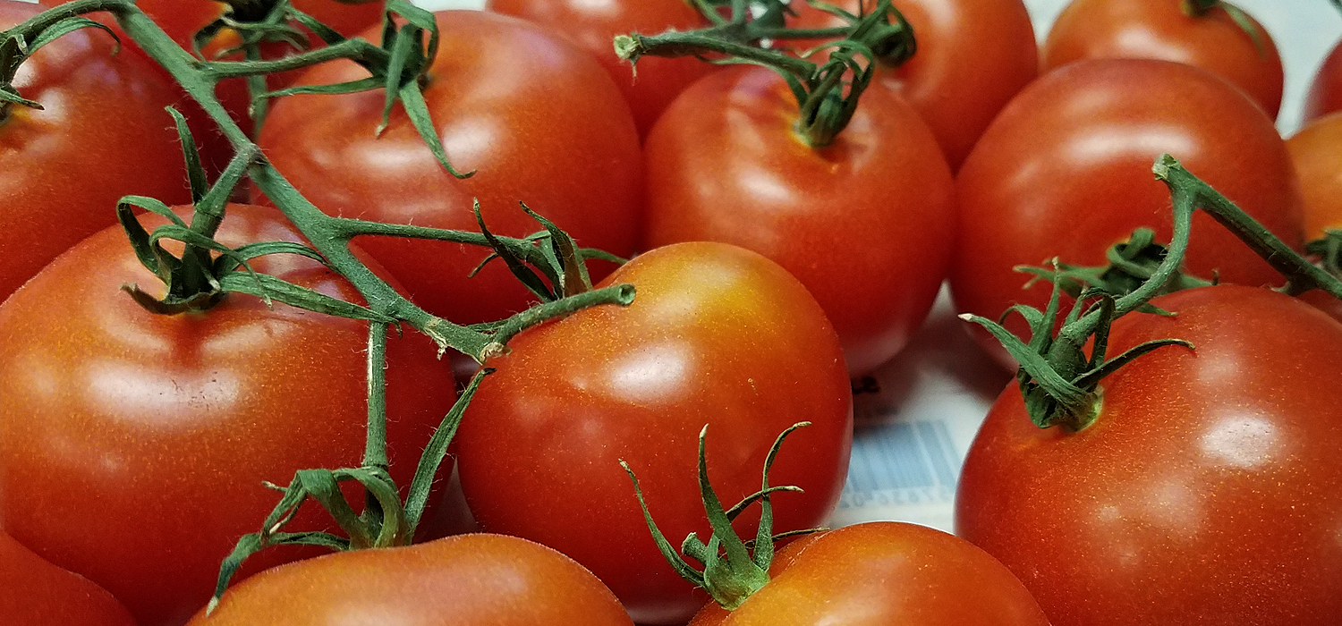 https://www.5280produce.com/wp-content/uploads/2017/08/slider_tomatoes.jpg